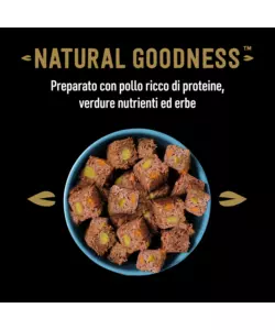 CESAR - UMIDO PER CANI POLLO, PATATE E PISELLI 400 GR